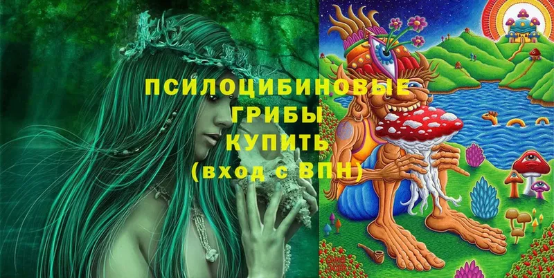 Псилоцибиновые грибы мицелий  Кущёвская 